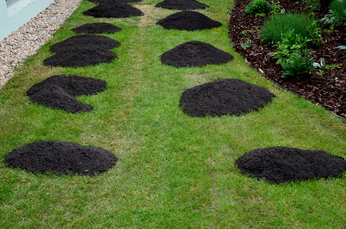 Piles of compost on green lawn