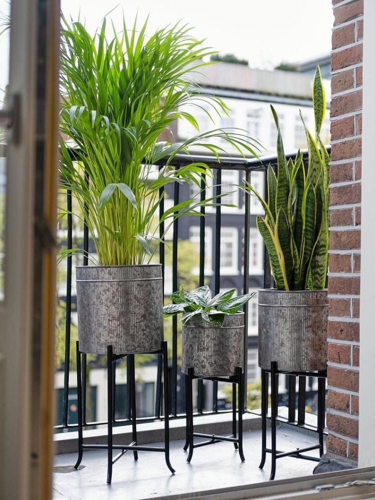 10 Brilliant Balcony Garden Ideas