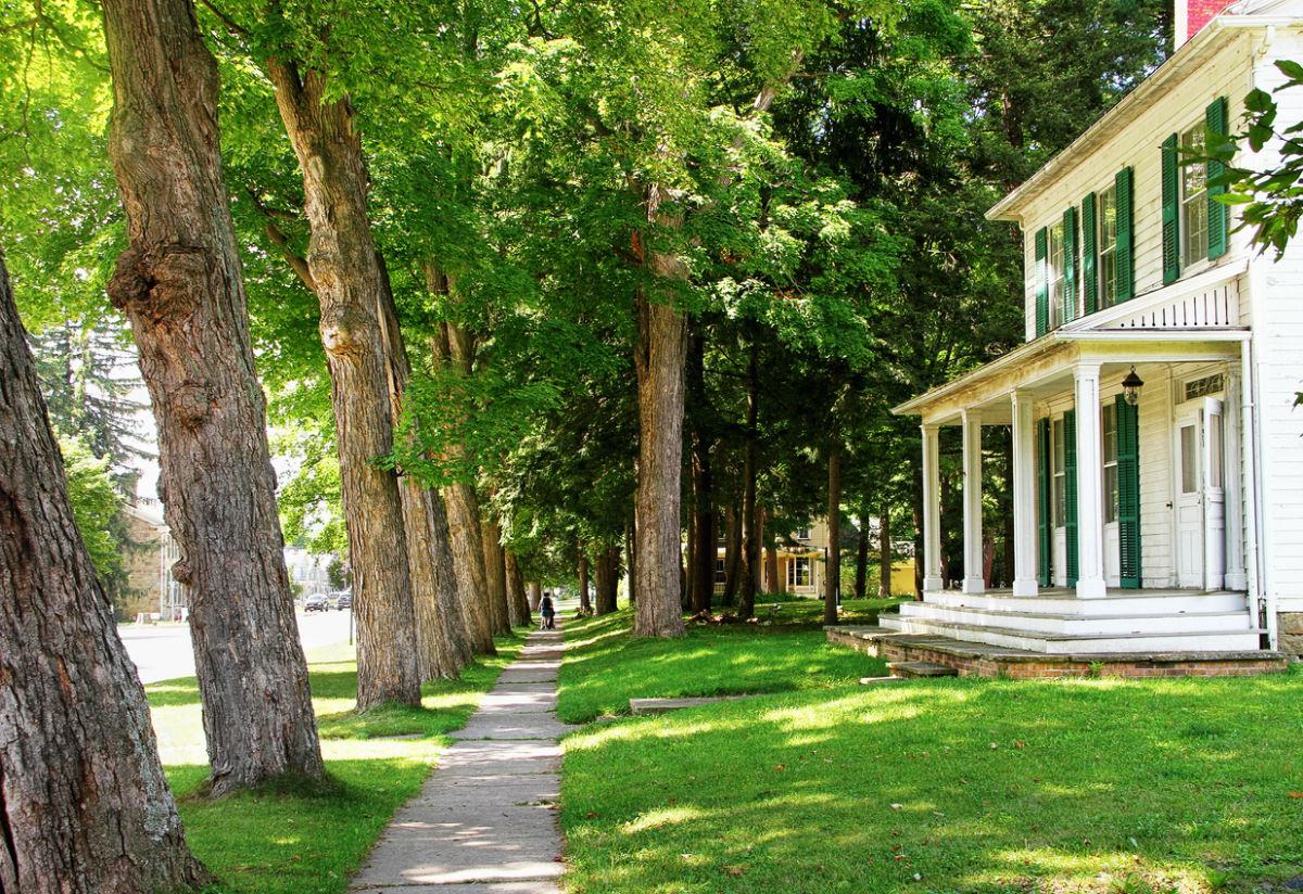 The Best Warm-Season and Cool-Season Grasses for Shade, Solved!