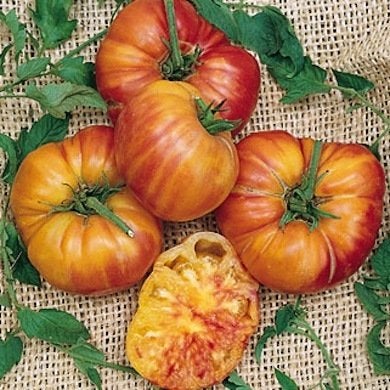 Ripe for the Picking: 10 Full-Bodied, Full-Flavored Heirloom Tomatoes