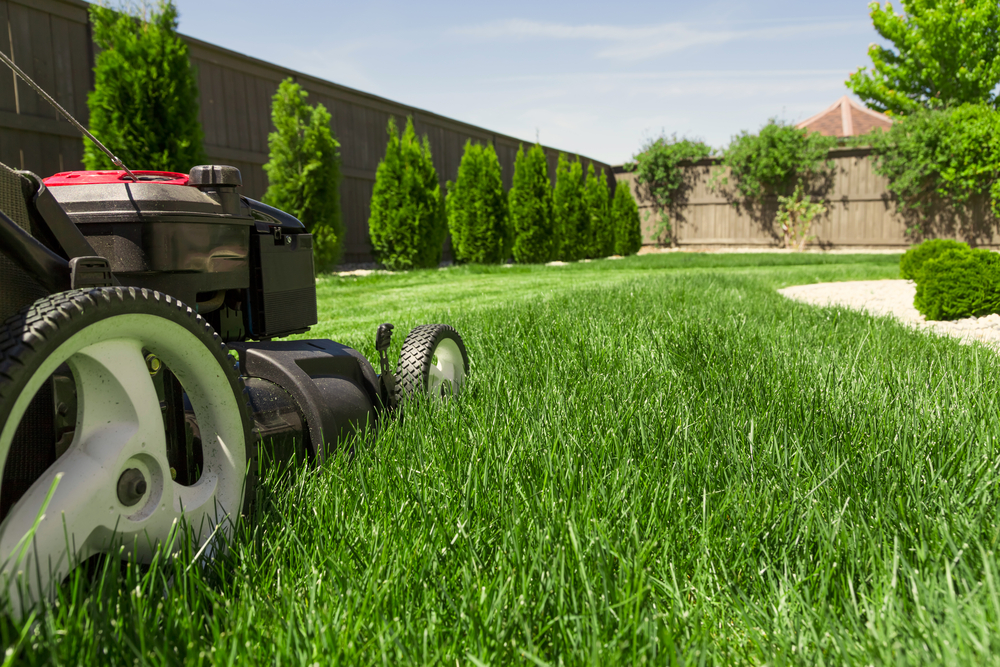 average lawn mowing cost