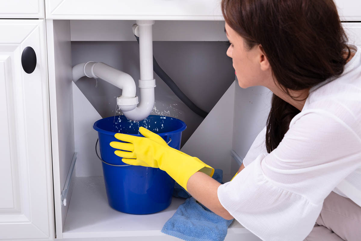 The Best Plumber Near Me: DIY vs. Hiring a Professional Plumber