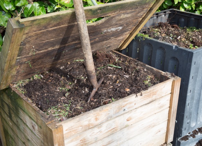 composting 101