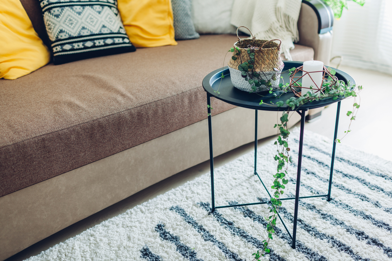 types of succulents string of hearts potted on small table in living room