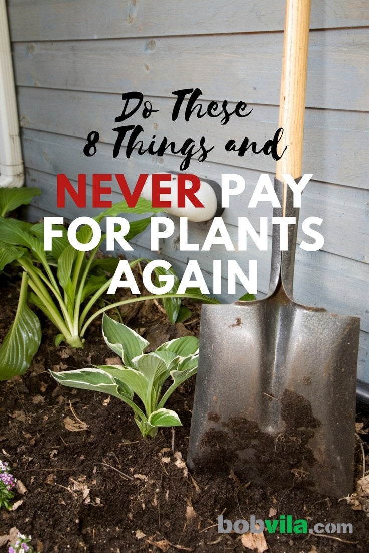 Do These 8 Things and Never Pay for Plants Again