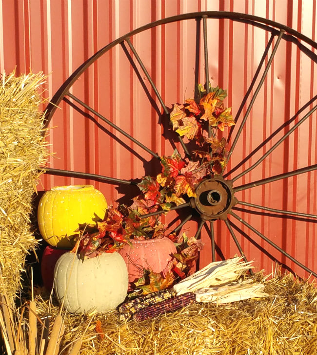 DIY Concrete Pumpkins for a Fall Front Porch