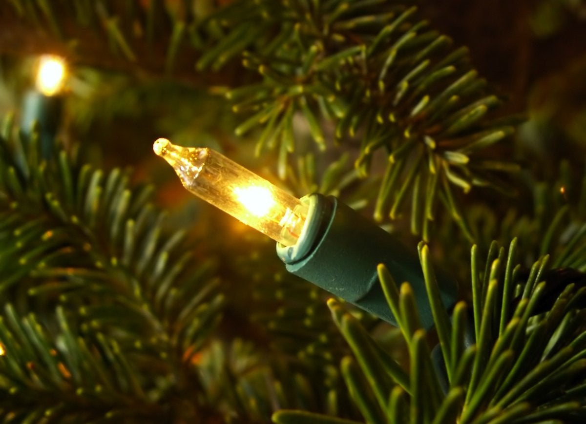 Christmas Miracle: 8 Simple Fixes for All Your Tree Troubles