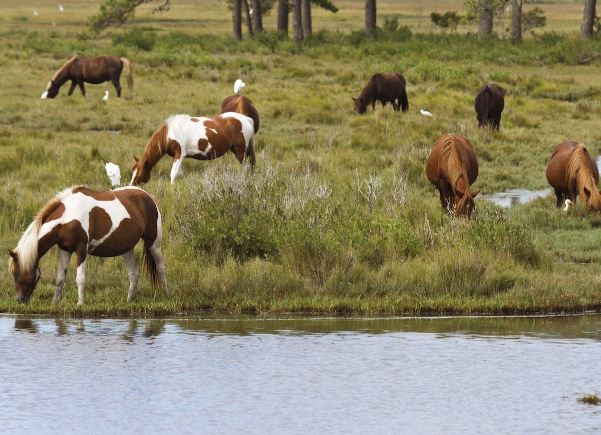 50 Tiny Towns That Attract Hordes of Tourists Every Year