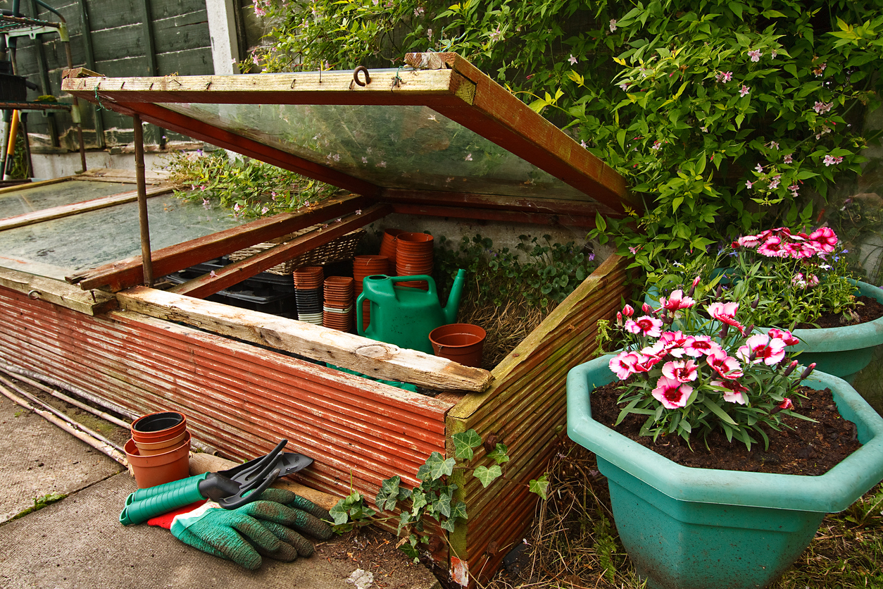 cold frame