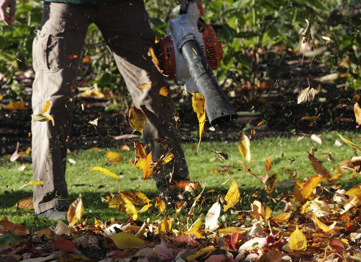 The Do’s and Don’ts of Cleaning Up Leaves