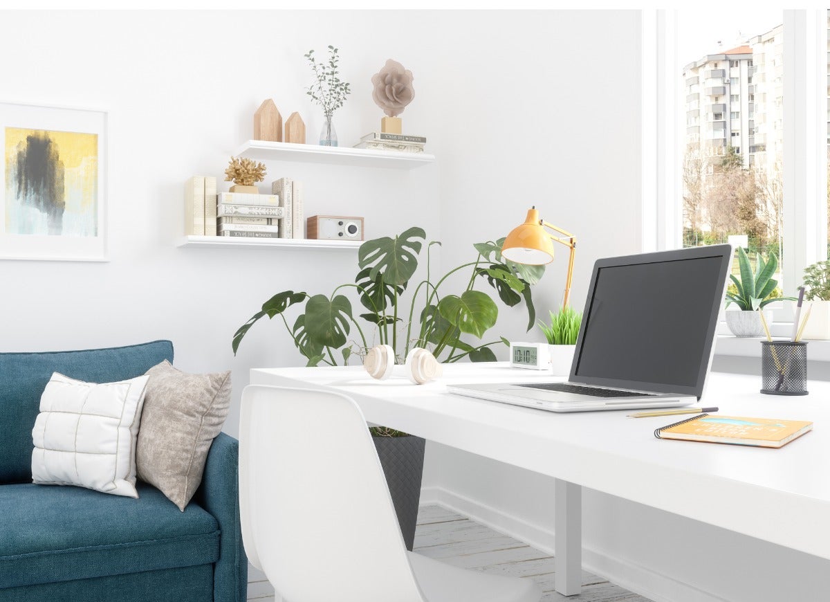 The 12 Hottest Houseplants for Your Home Office, According to the Masses