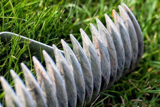 Grass dethatching rake laying in the yard.