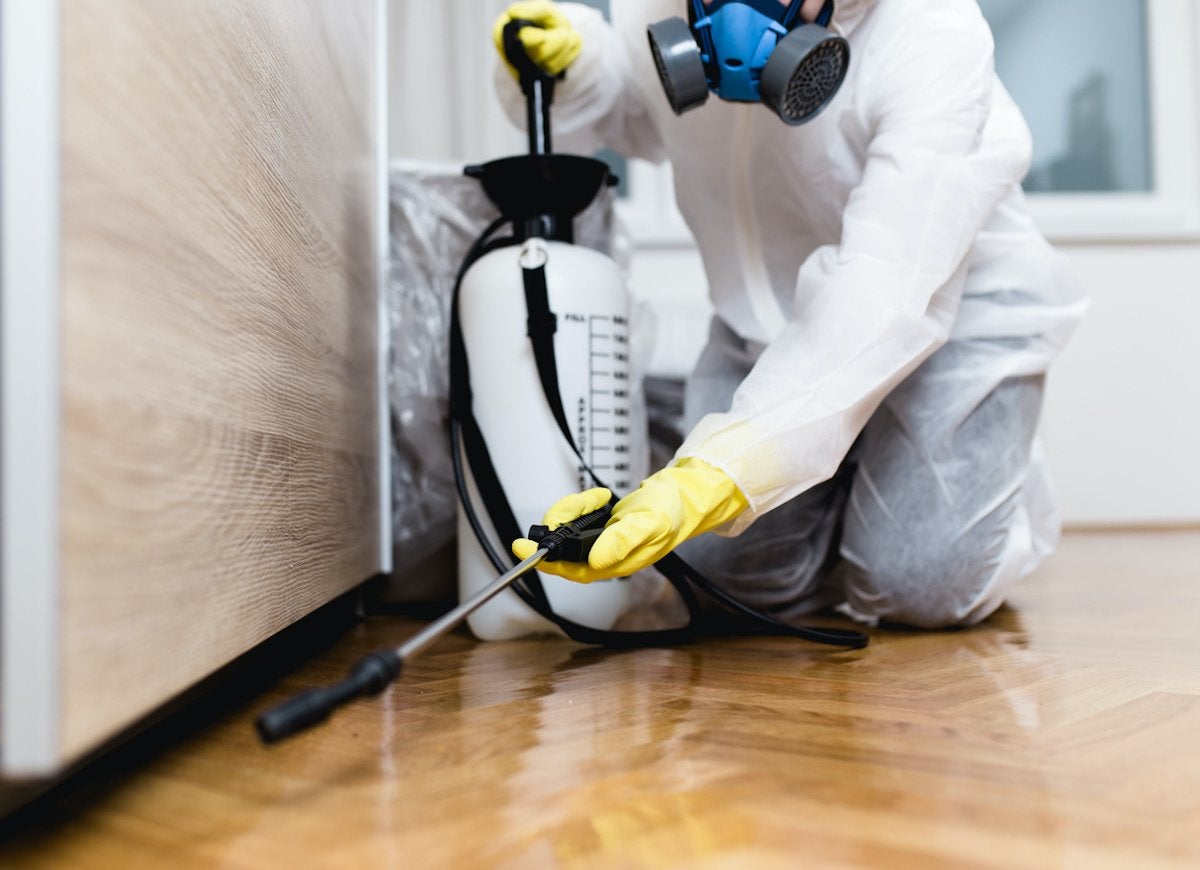 8 Things the Exterminator Won’t Tell You for Free