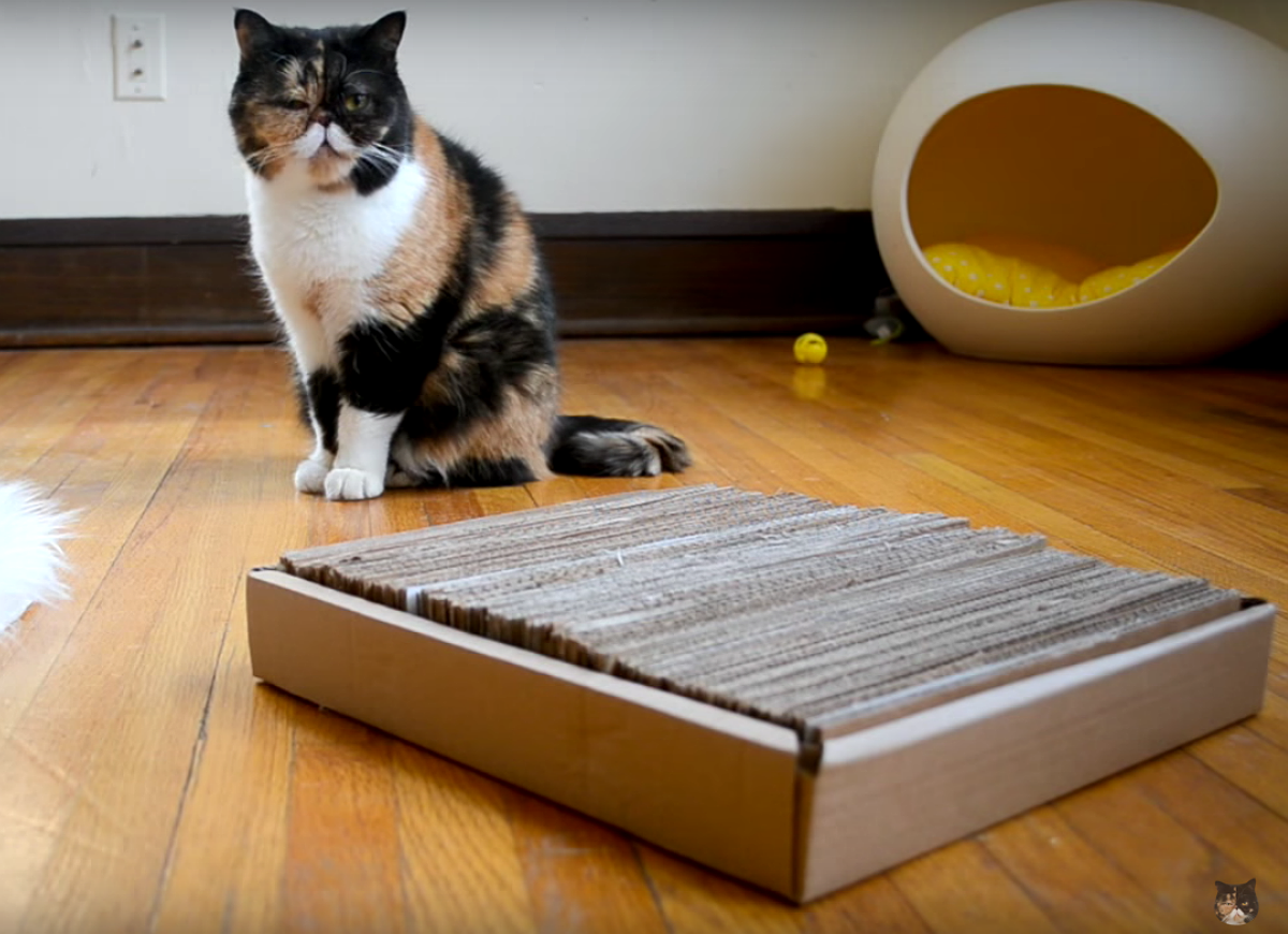 18 New Uses for Old Shoeboxes