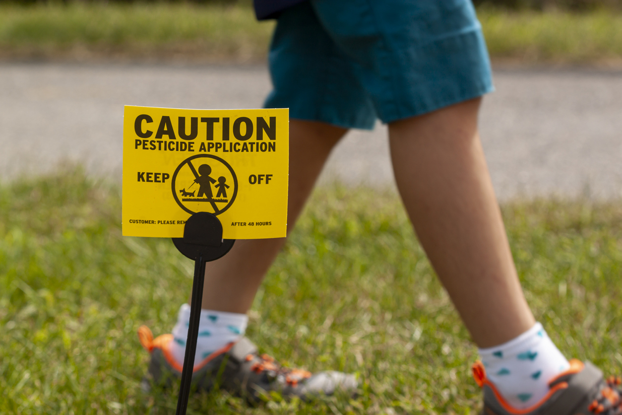 Clarksburg, MD, USA 09/12/2020: A yellow yard sign warning kids and pets of the recent pesticide spraying and advices them to stay away. A kid is playing regardless. Pesticide use is a big concern.