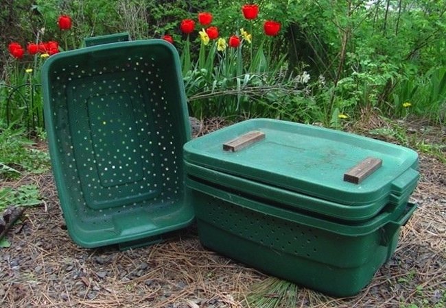 DIY Compost Bin - Worms