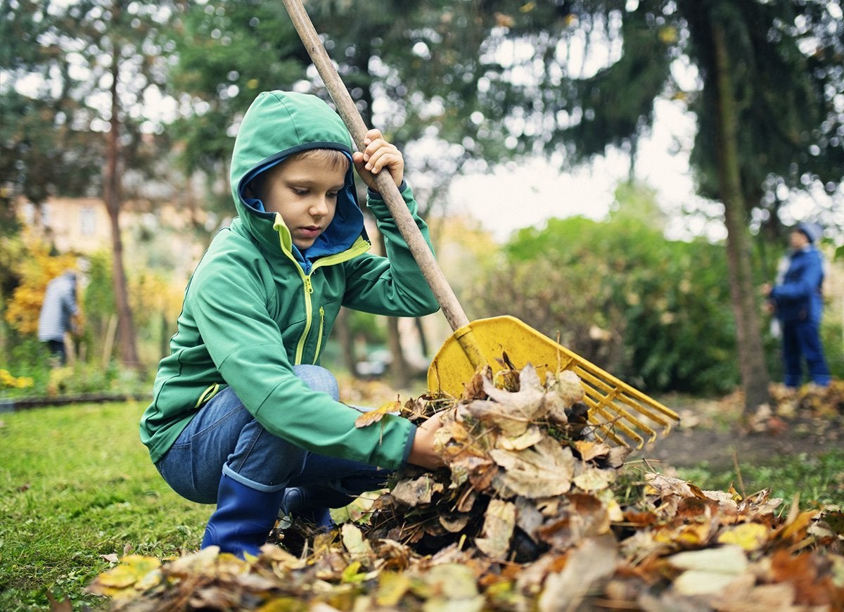 The Do’s and Don’ts of Cleaning Up Leaves