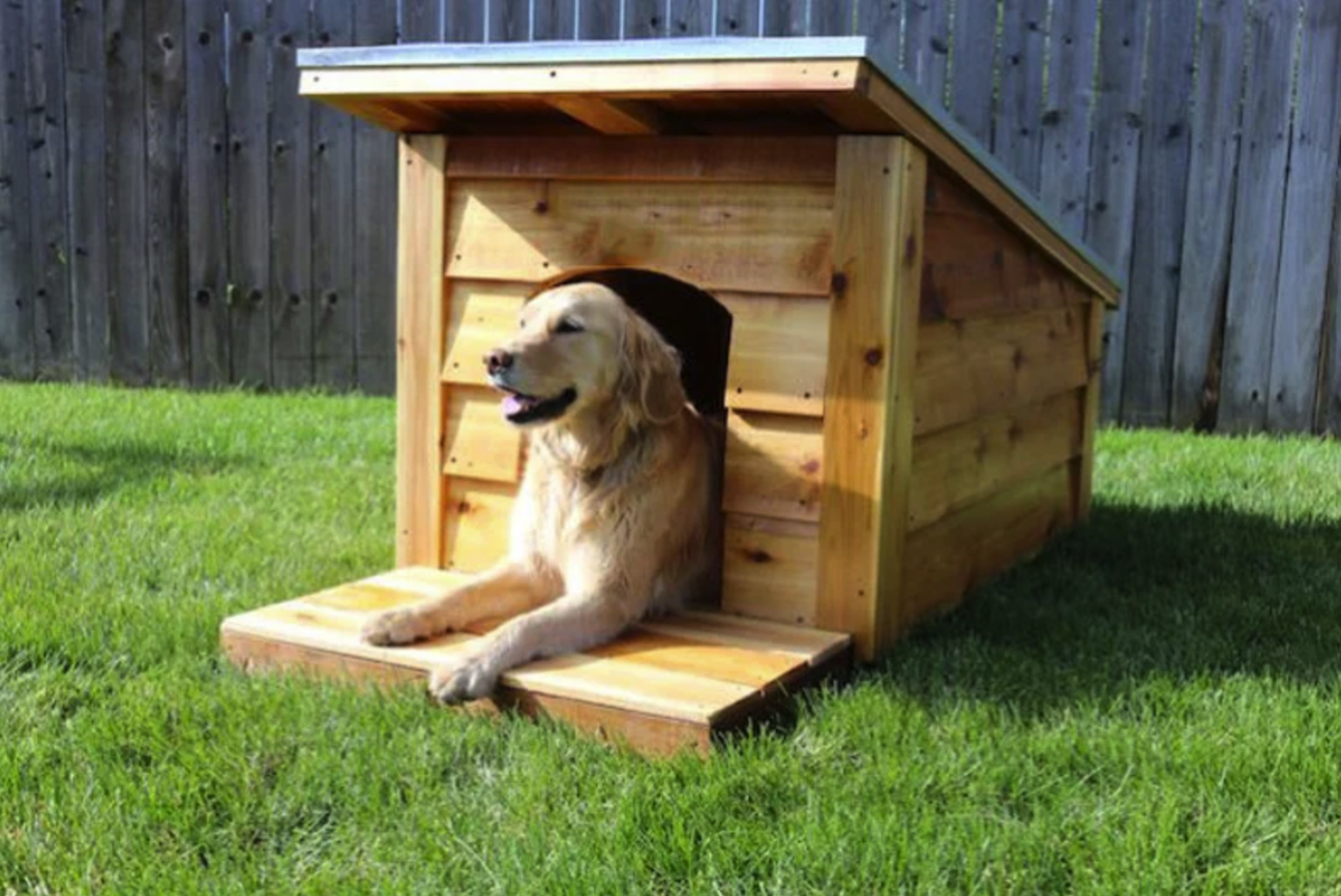 golden retriever assis à l'intérieur d'une niche pour chien fabriquée avec de grands panneaux de bois clair