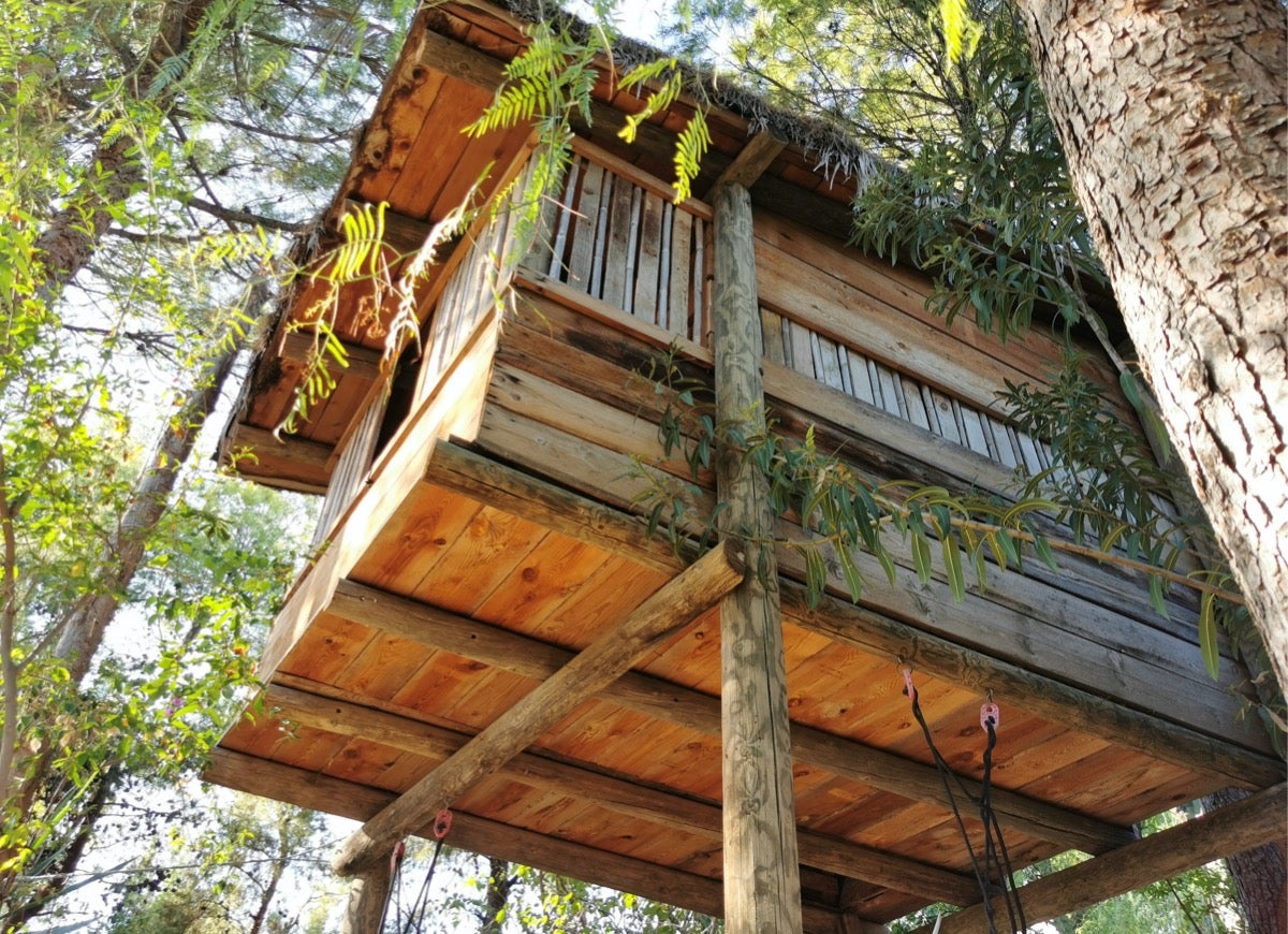 12 Unique Treehouse Ideas for Your Backyard