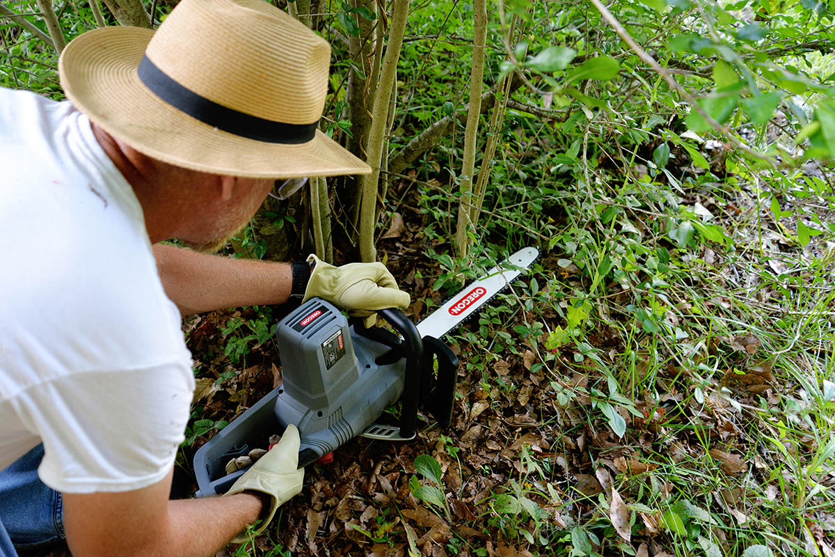 Man in a hat using a chainsaw on some thin trees