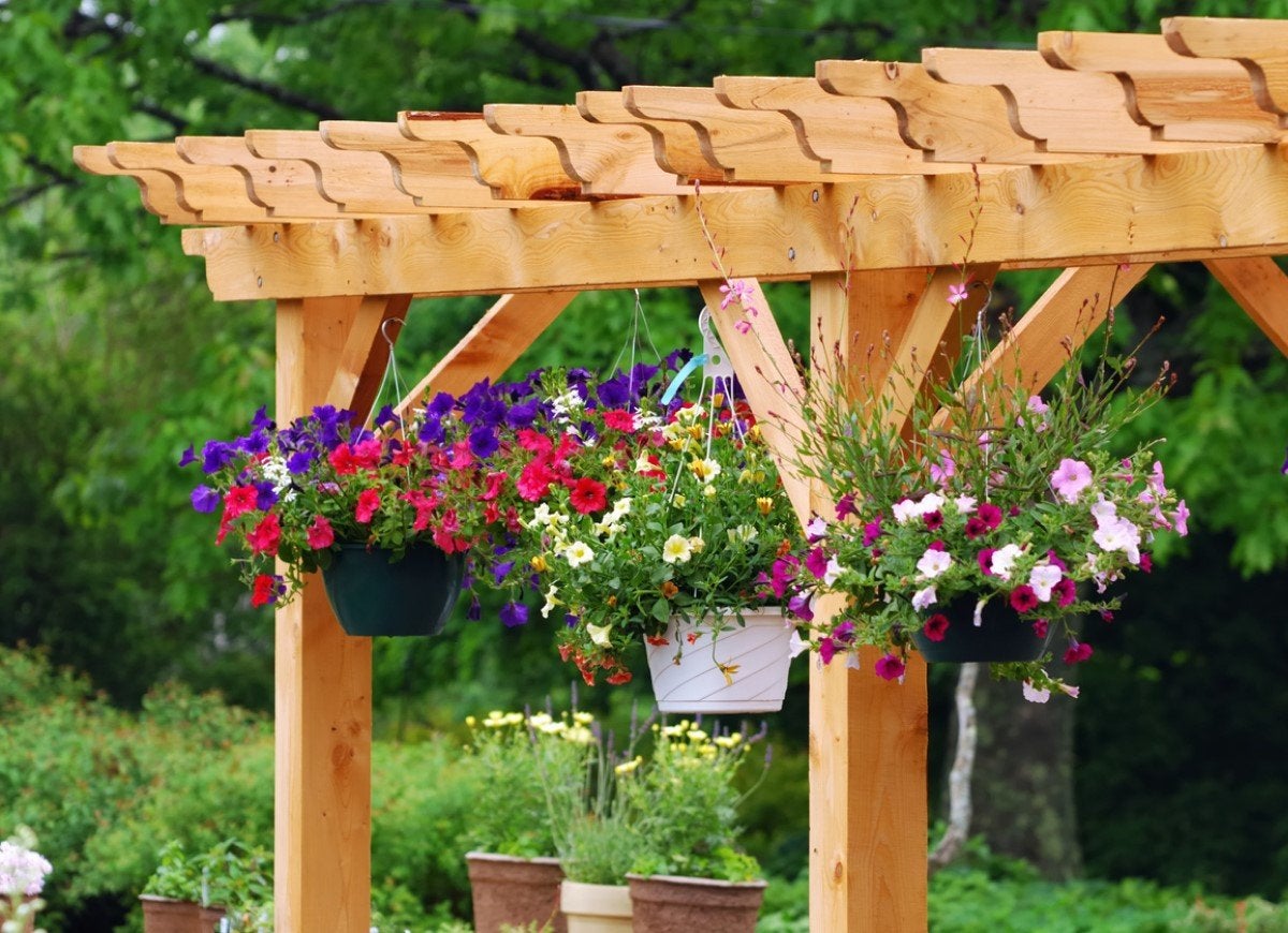 13 Beautiful Ways to Style a Backyard Pergola