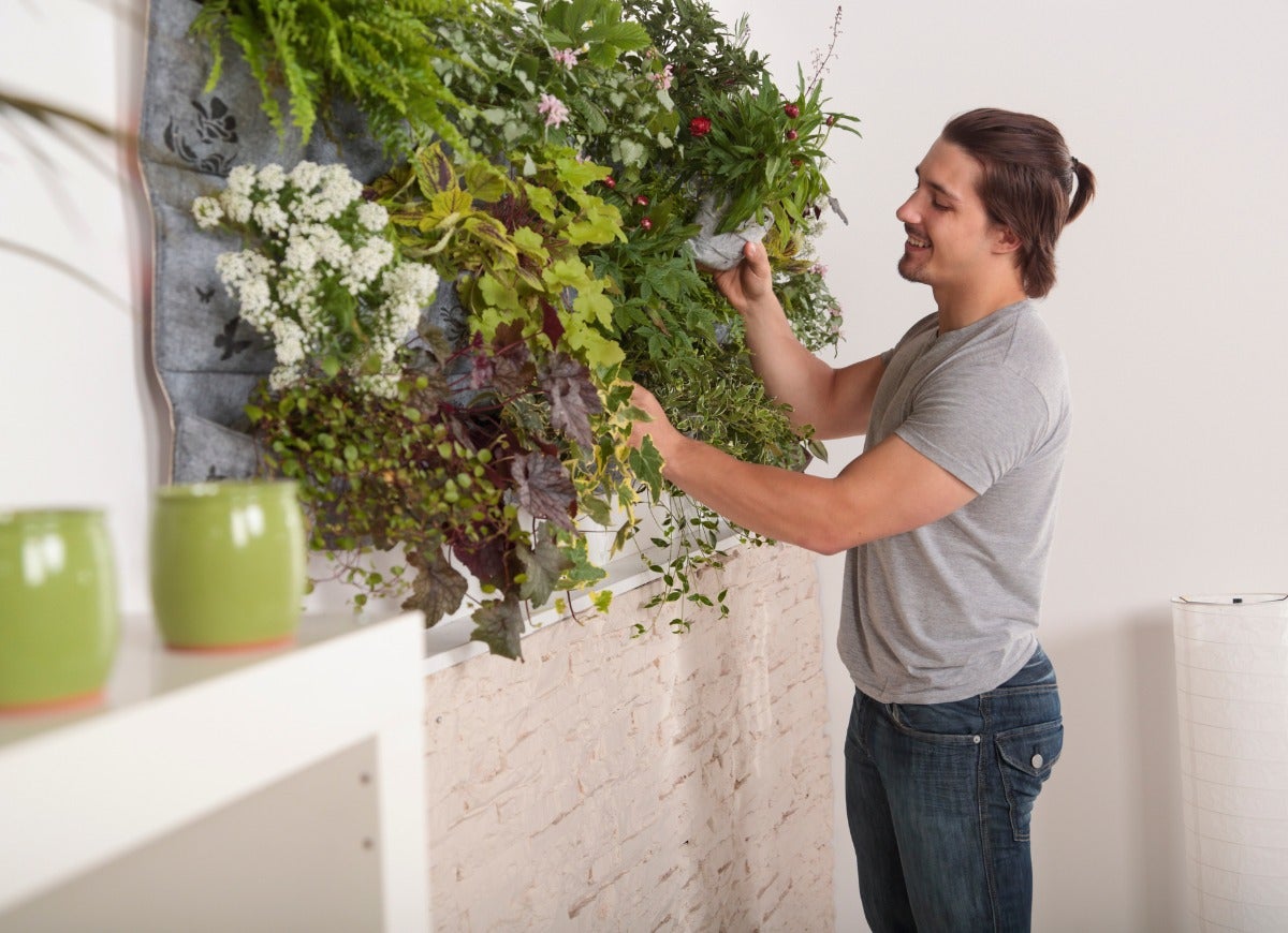 11 Indoor Gardening Projects Absolutely Anyone Can Do