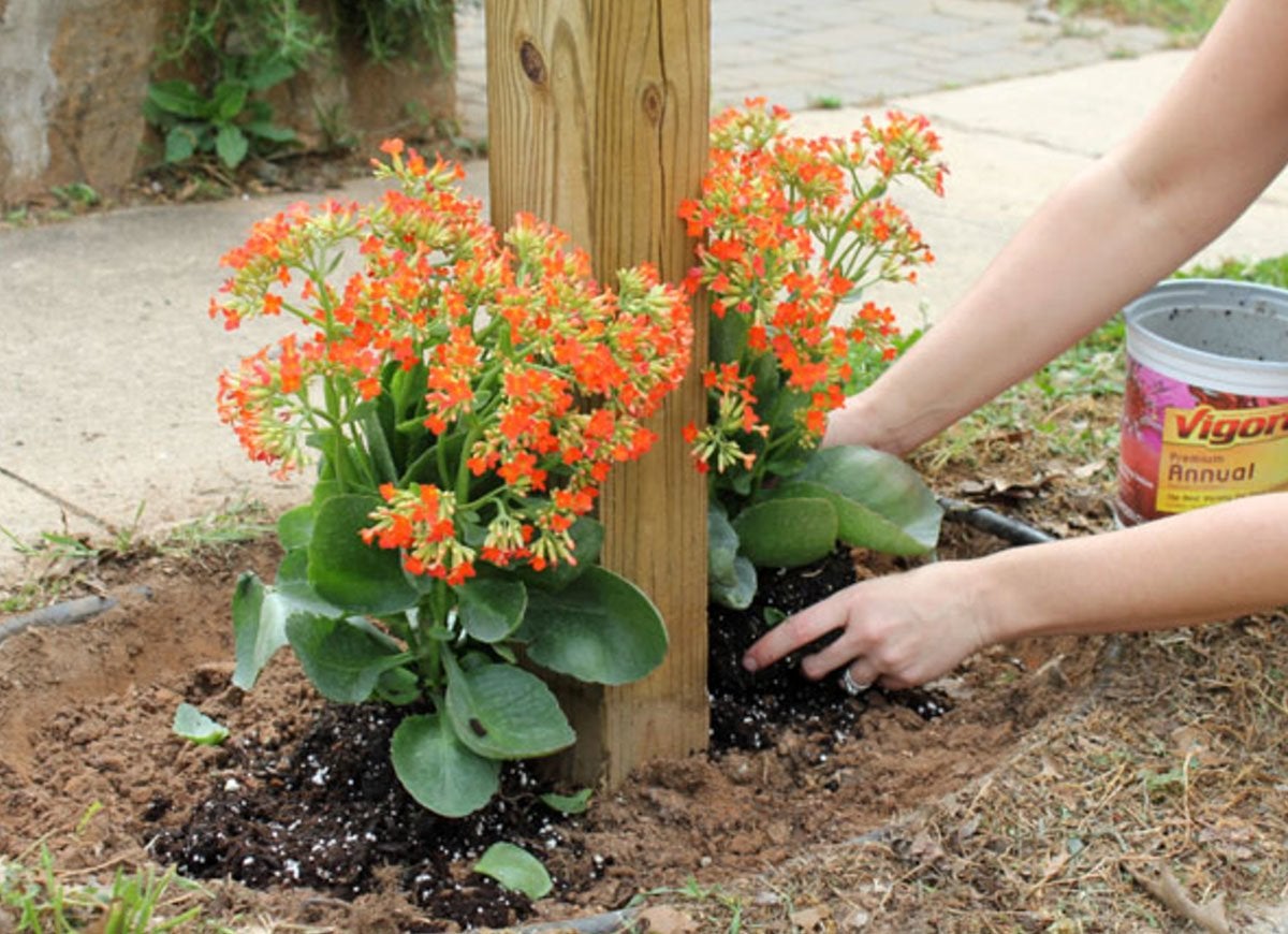 15 Affordable Landscaping Projects You Can DIY in a Day