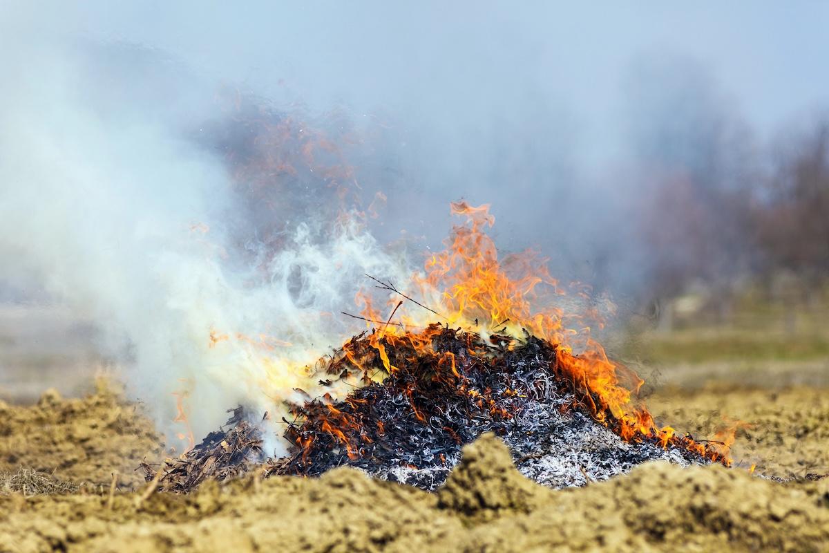 A pile of burning leaves and yard waste with smoke releasing.