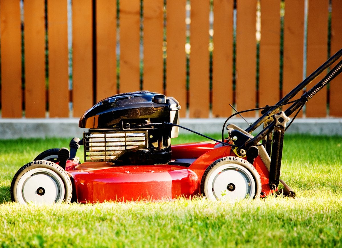 The Best Things You Can Do for Your Lawn