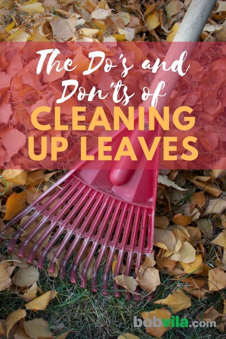 The Do’s and Don’ts of Cleaning Up Leaves