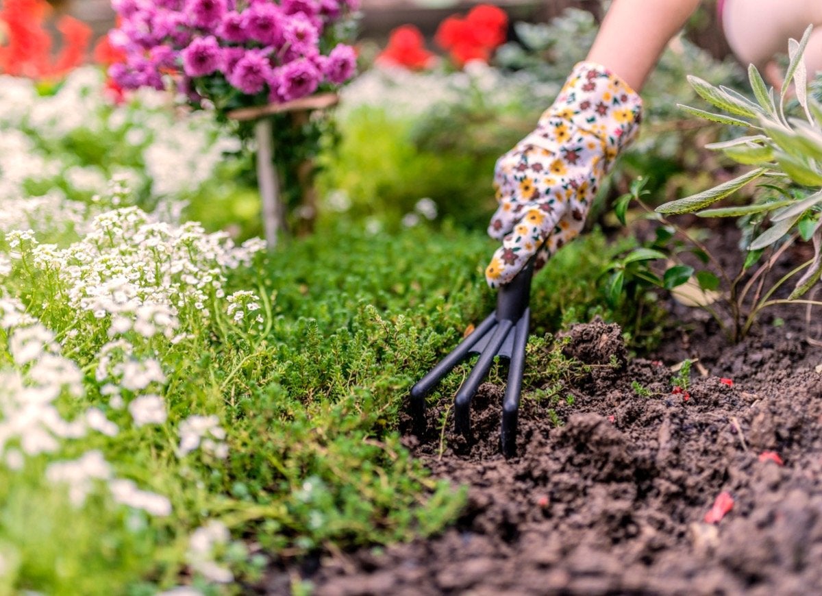 12 Landscaping Mistakes that Pros Have Made and Learned From