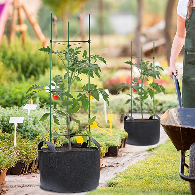 tomates en cage poussant dans des sacs de culture