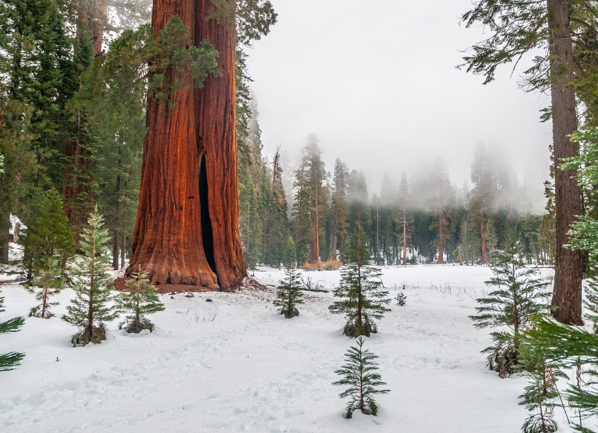 Les meilleures destinations de camping d'hiver en Amérique