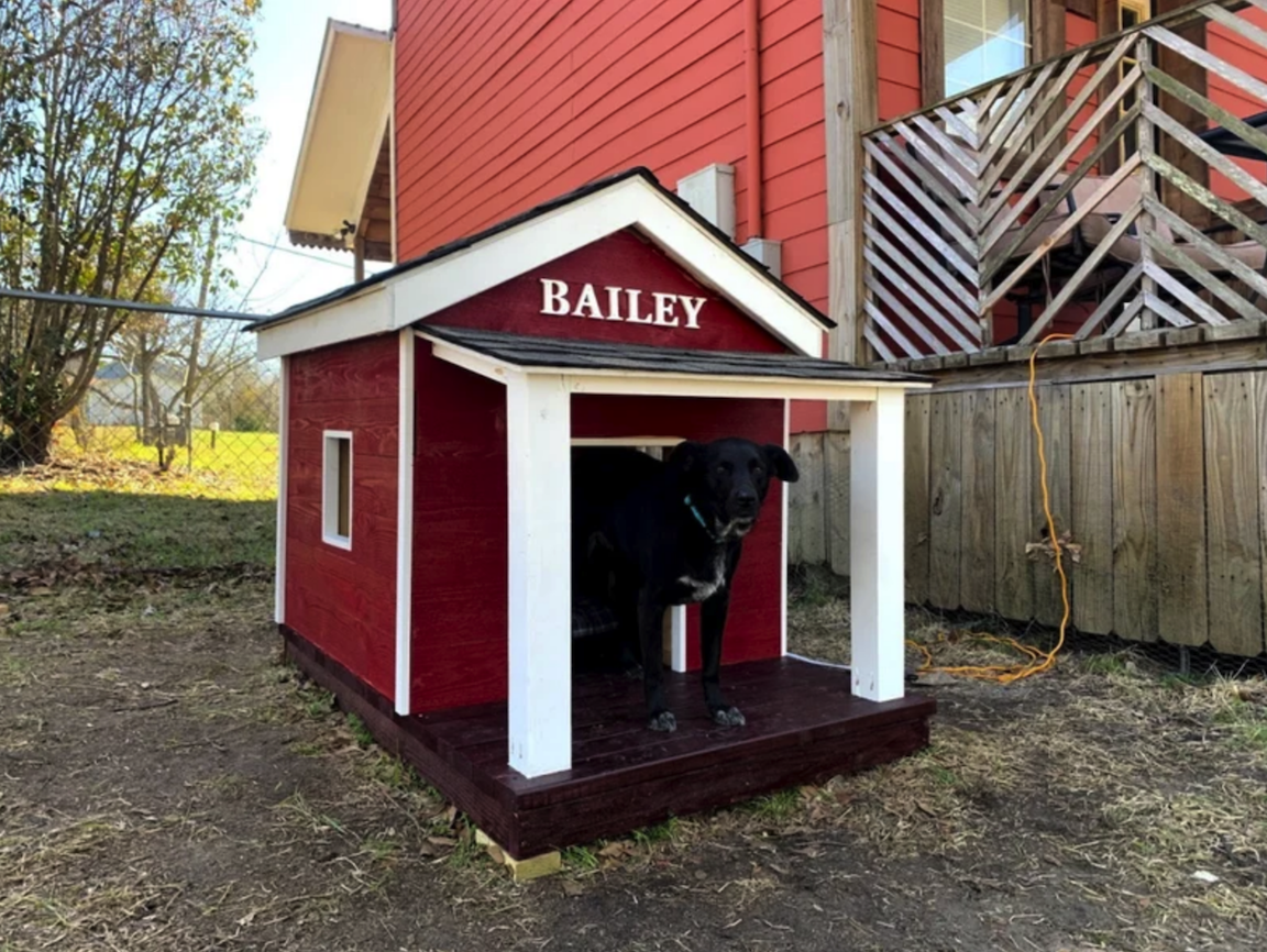 maison de ferme rouge avec nom de chien Bailey en blanc en haut dans l'arrière-cour près d'une maison avec un chien noir à l'intérieur