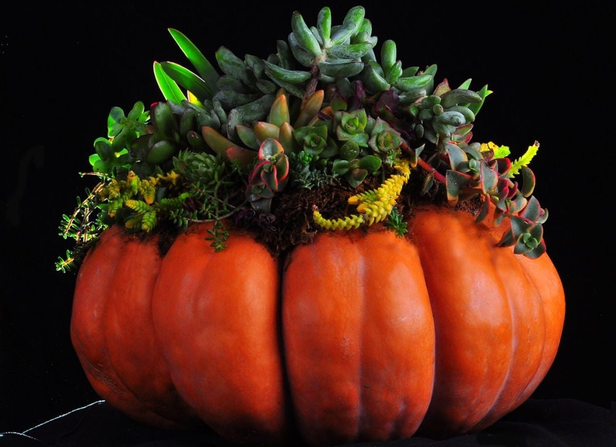 9 Ways to Decorate with Pumpkins, Indoors and Out