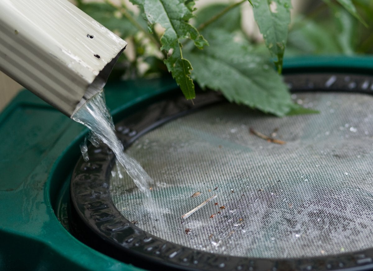 10 Times You Can Get Nature to Do Your Yard Work for You