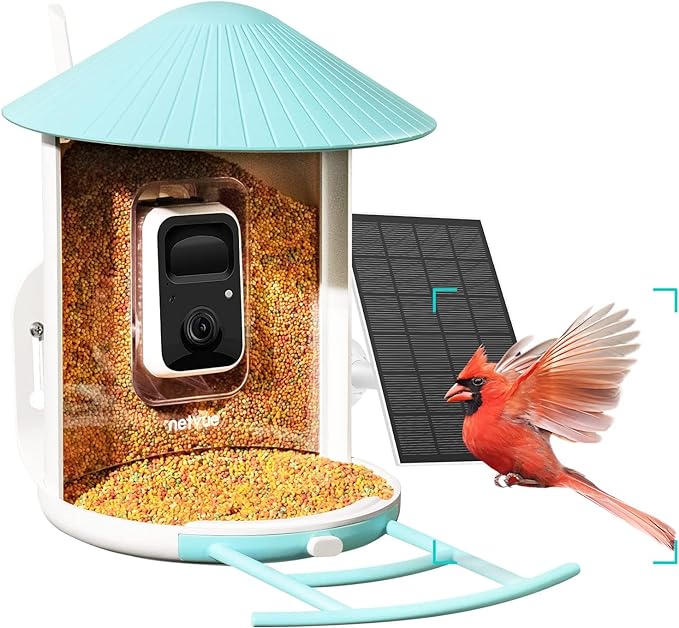 Birdify bird feeder camera with solar panel