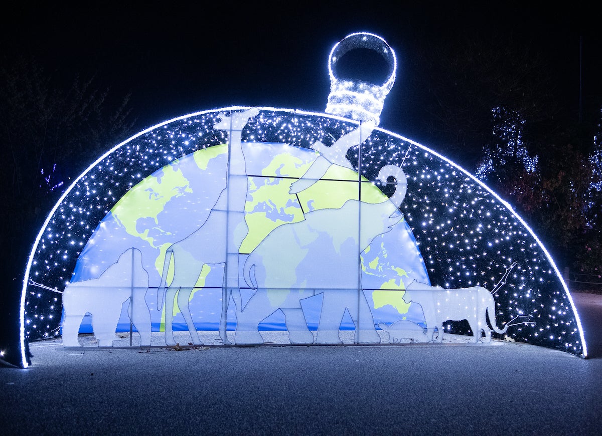 The Best Drive-Through Christmas Light Displays in America