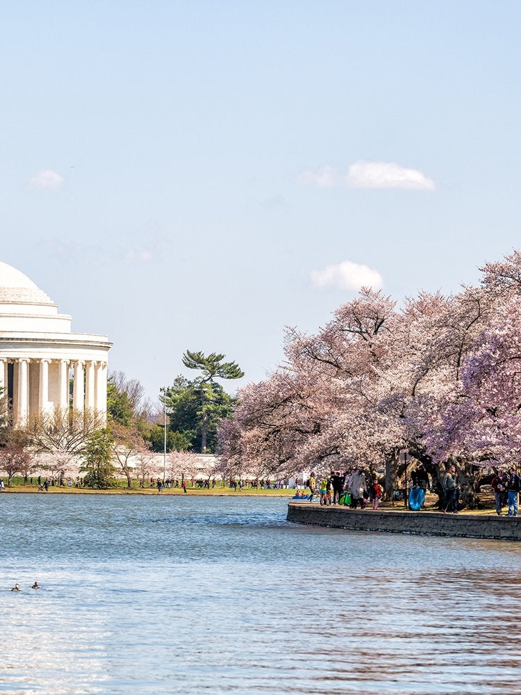 America’s Most Endangered Historic Sites