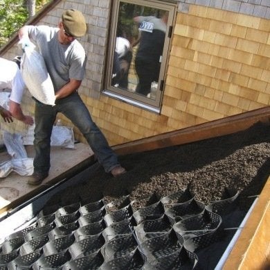 Trending Now:  Green Roofs