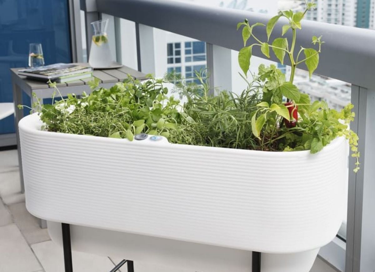 10 Brilliant Balcony Garden Ideas