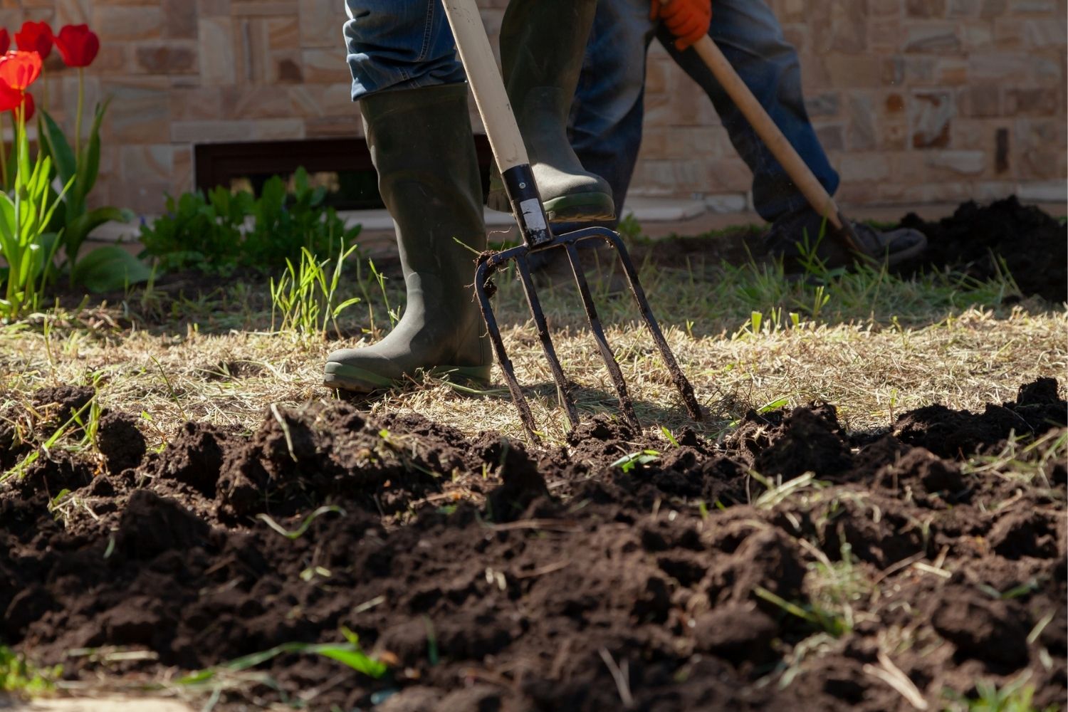 Best Garden Fork Options