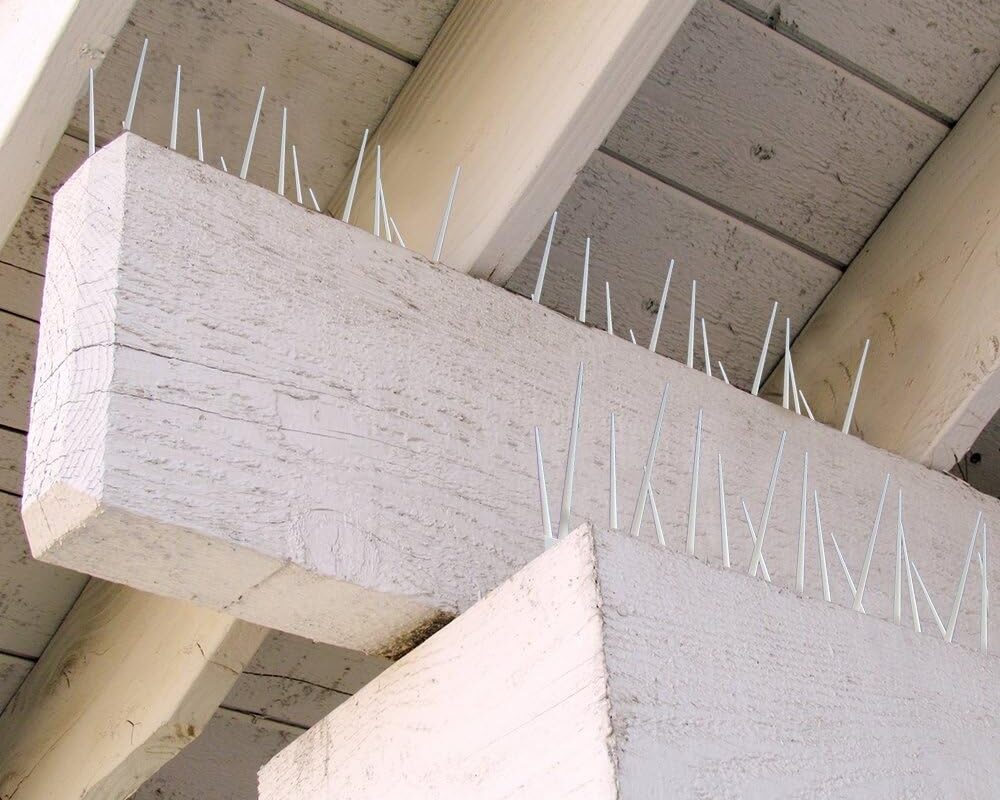 Pointes d'oiseaux montées au plafond d'un porche pour empêcher la nidification.