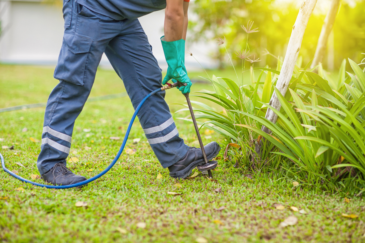 vue depuis les déchets vers le bas d'un professionnel en uniforme injectant des produits chimiques anti-termites dans la pelouse avec un tuyau