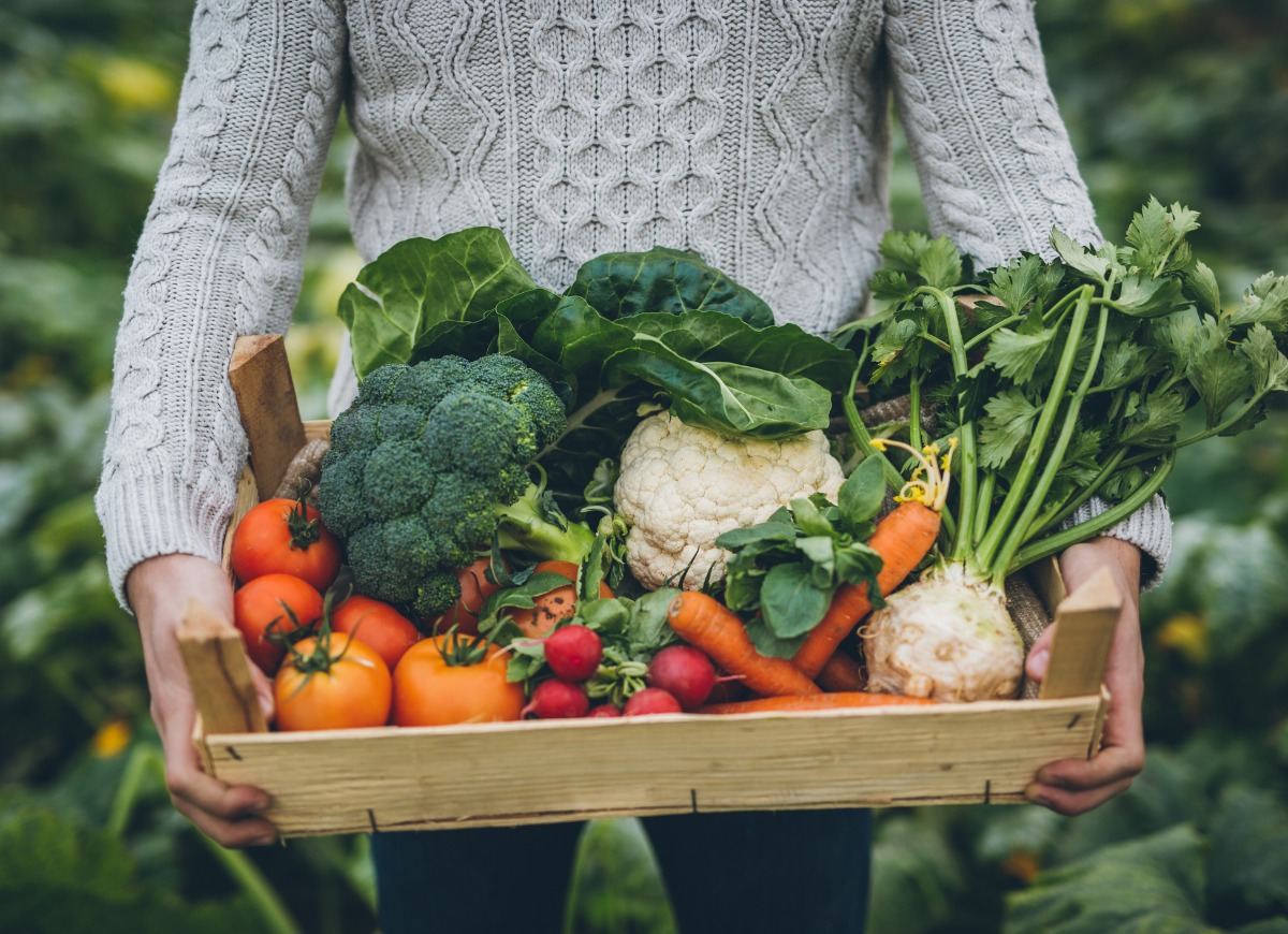 young-farmer-with-crate-full-of-vegetables-picture-id901653798