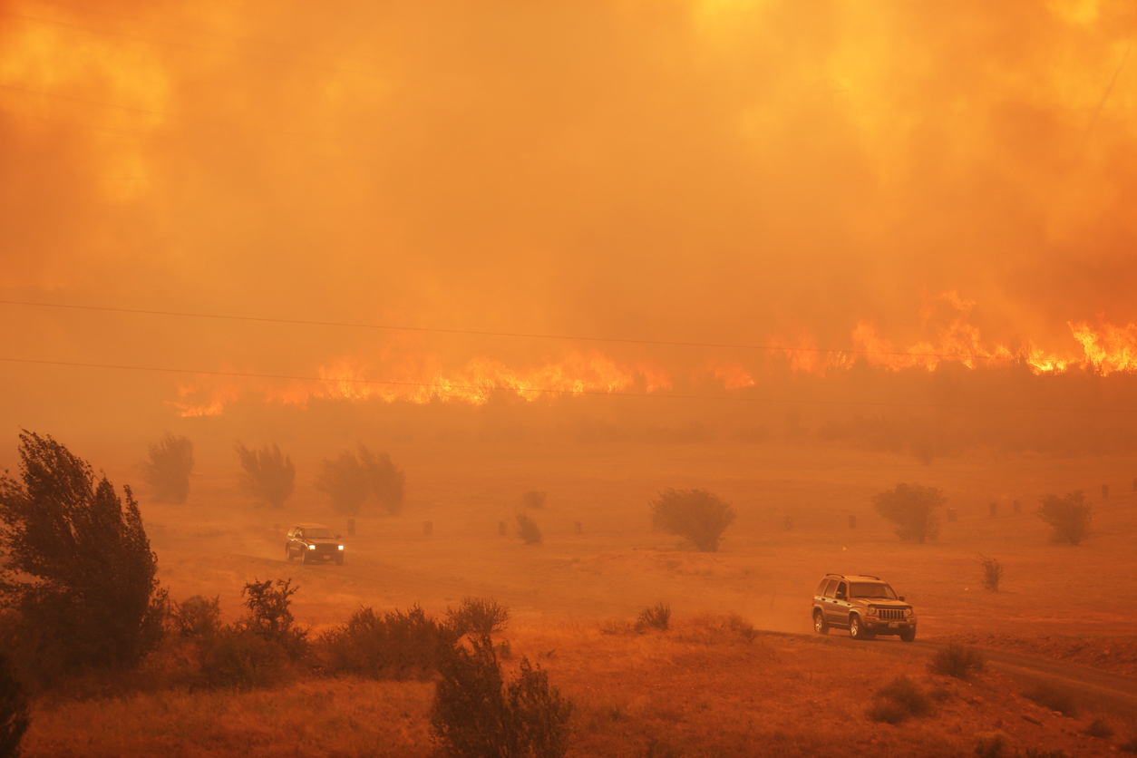 L'assurance habitation couvre-t-elle les incendies de forêt ?