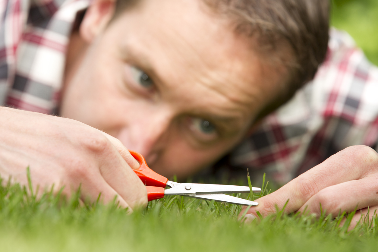 What Kind of Gardener Are You?