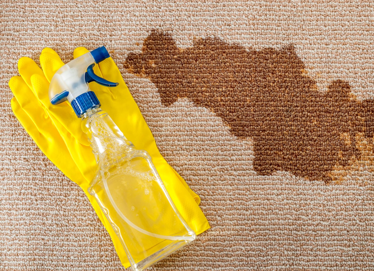 10 Homemade Carpet Cleaning Remedies