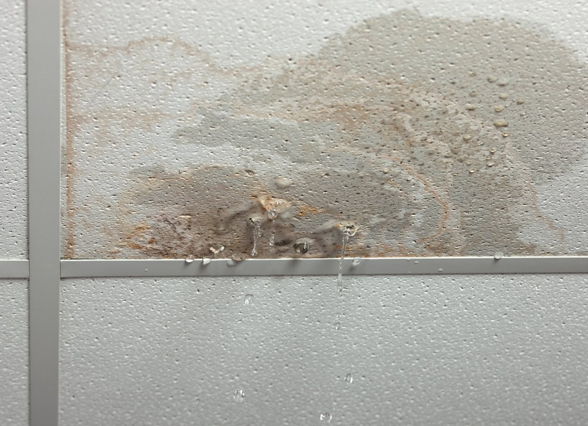 12 Big Mistakes That Lead to Mold and Mildew Growth