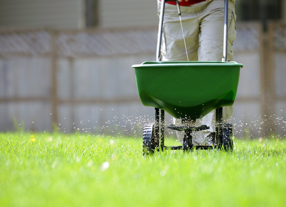 The Best Things You Can Do for Your Lawn